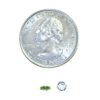 A coin and some small green things on the side