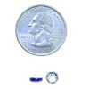 A coin and some small blue beads on top of it.