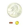 A coin and some small red objects