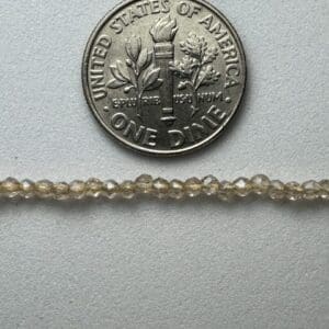 Dime next to light brown beads.