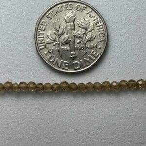 Brown beads next to US dime.